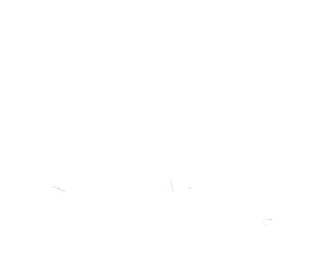 The Lyndon Baines Johnson Foundation Logo